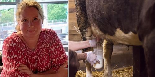 Kursen som ska göra mjölkbonden till företagsledare