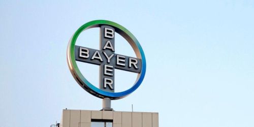 BASF köper Bayers verksamhet för grönsaksutsäde