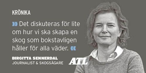 Snart kan lönsamhet se annorlunda ut