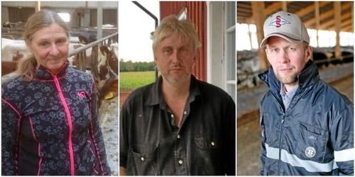 Bönder sågar mjölkfri satsning: ”Helt absurt”
