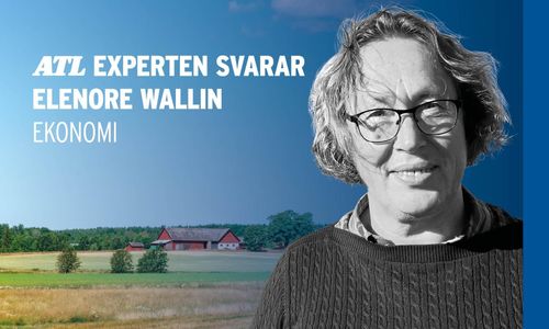 ”Är det ekonomiskt smart att investera i dränering?”