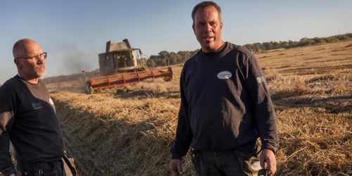 De är störst på durum: ”Odlaren tar hela risken”