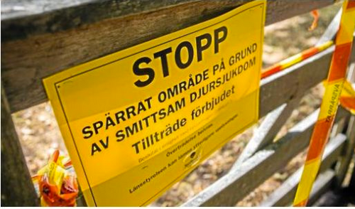 Död ko var inte mjältbrand