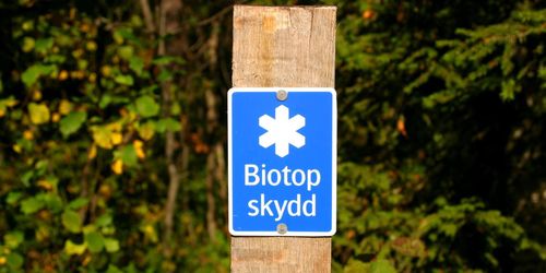 Lägre budget gav mindre skyddad skog