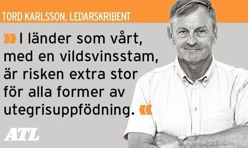 Svinpesten inte bara grisnäringens problem