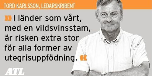 Svinpesten inte bara grisnäringens problem