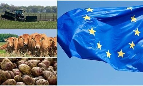 EU:s jordbrukspolitik sågas av forskare