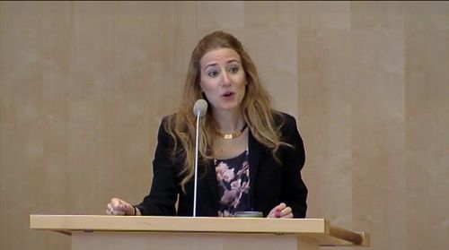 "Man behöver öppna upp för konkurrens", säger Caroline Szyber, KD.