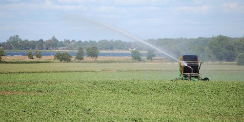 Inga konsekvenser för olovlig bevattning
