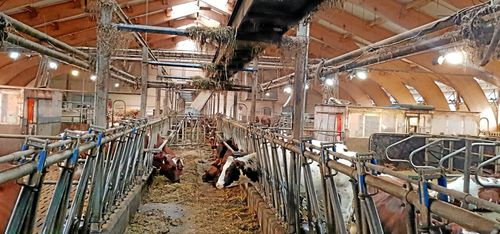 Finska konsumenter vill ha eko