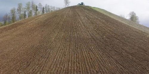 Filmfavoriter: Potatisbacken