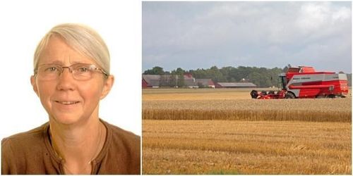 ”Pengar är viktigt – men de går inte att äta”