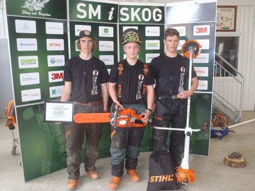 Ljusdal dominerade skol-SM