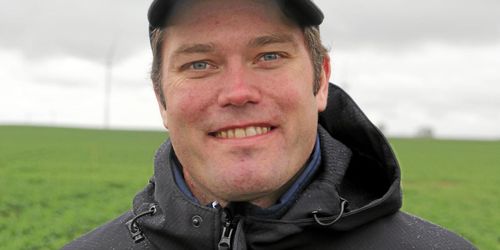 Allt fler vill göra klöver på vallfrö