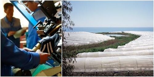 Liga sålde skor med giftigt växtskyddsmedel