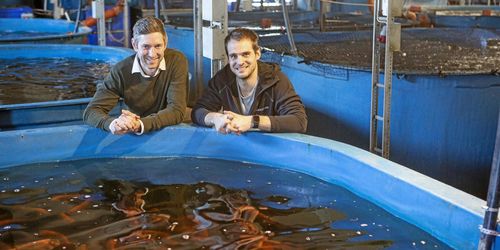 Fiskodling lockar bönder – nu är första systemet sålt