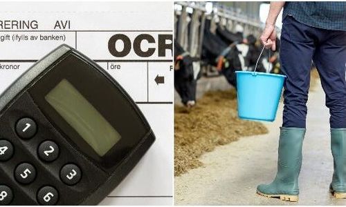 Skulle betala arrendeavgift – fakturerade kommunen 200 000 kronor