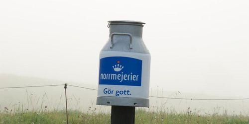Norrmejerier sänker priset till bönderna – igen