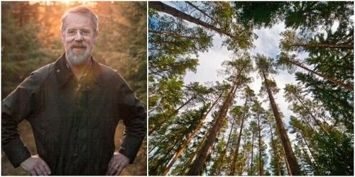 Mångbruk kan öka intäkterna från skogen