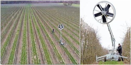 Åtta meter hög fläkt ska rädda äpplena