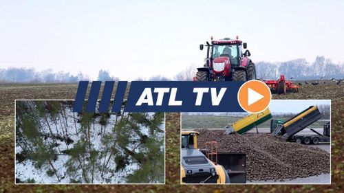 ATL TV: De drabbades hårt av Alfrida