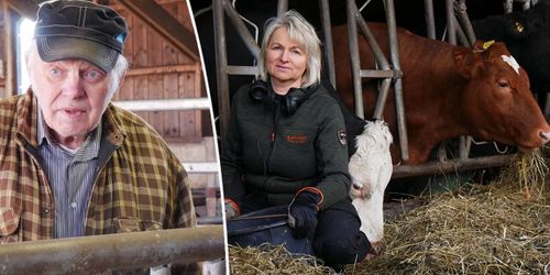 Hon tog över grannens gård: ”Fanns ingen annan tanke”