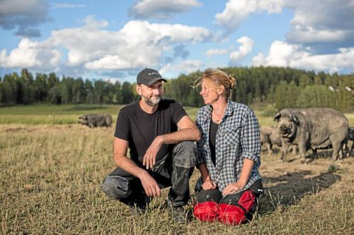 Hon är ny ordförande för Ekologiska Lantbrukarna