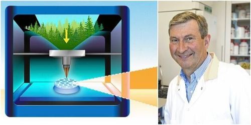 3D-utskrifter av trä ger nya möjligheter