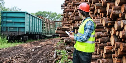 Debatt: Stillestånd knäcker skogsentreprenörerna