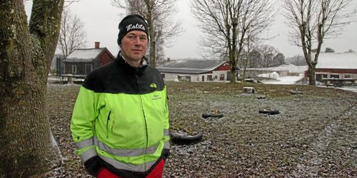 Viltet äter upp värden för 100 000 varje år