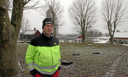 Viltet äter upp värden för 100 000 varje år