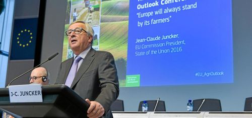 Jordbruk het potatis i EU:s budgetdebatt