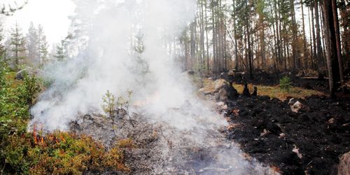 Fler vill bli deltidsbrandmän