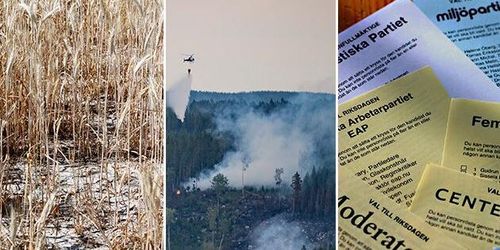 Debattåret 2018 – det var årets hetaste ämnen