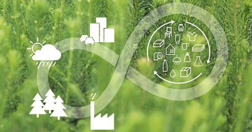 Skogsnäringen samlas kring bioekonomi