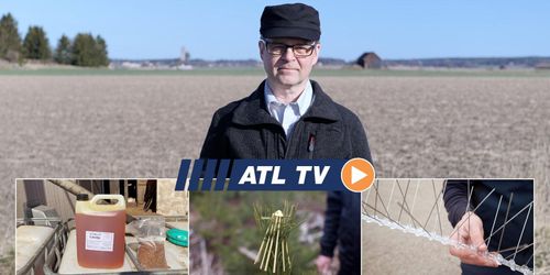 ATL TV: Läge för linodling