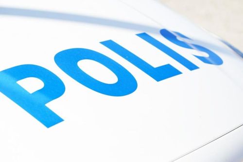 Jägare misstog hund för katt