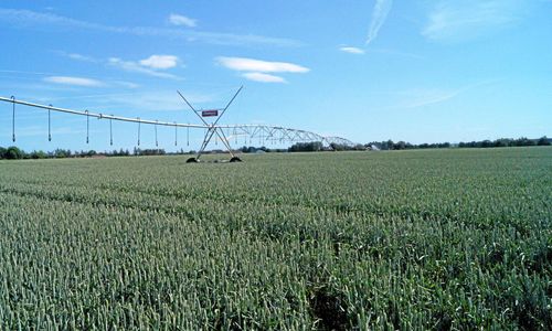 Fler vattnar med precision – högtryck i branschen