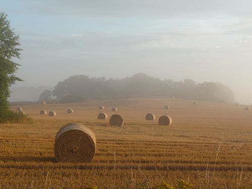 Hyggliga skörderesultat i sydost