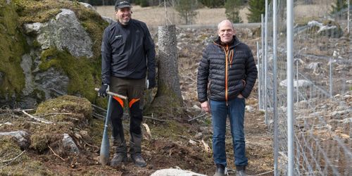 Sork utmaning i nordlig bokskog