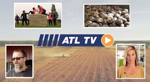 ATL TV: Norrlandsbonden som tar foder från 200 skiften