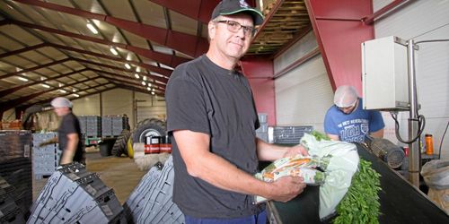 Deras morötter trivs i hettan