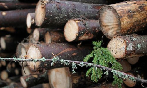 ”Myndigheterna ska stötta markägarna”