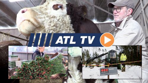ATL TV: Stölder stoppar skogsmaskiner