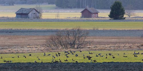 ”Utarmningen av landsbygden måste stoppas”