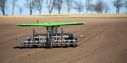 ”Låt omvandlingen av jordbruket ha sin gång”