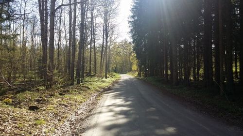 Många medlemmar bävar för att stå som ansvariga i vägföreningar menar Stina Jonsson i en replik. Arkivbild.