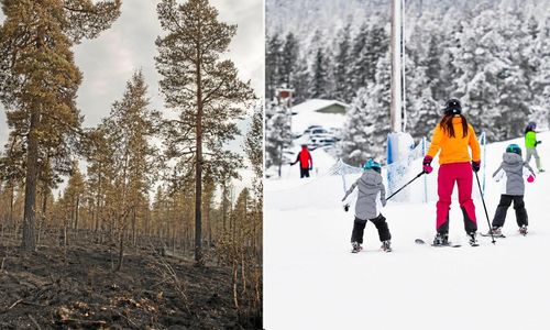 Sparad snö kan stoppa branden