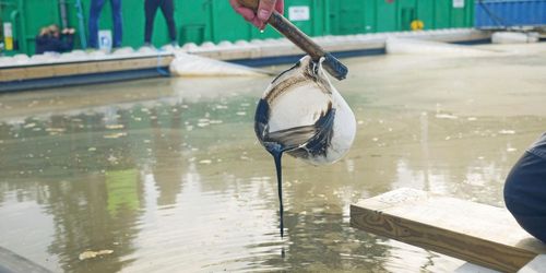 ATL TV: De muddrar sjön på fosfor
