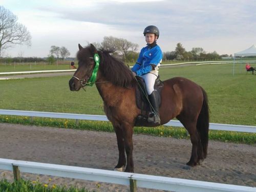 Häst kan ha dött efter att ha druckit sjövatten